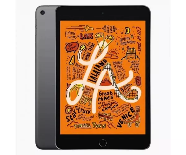 iPad Mini 5 Wifi's rental